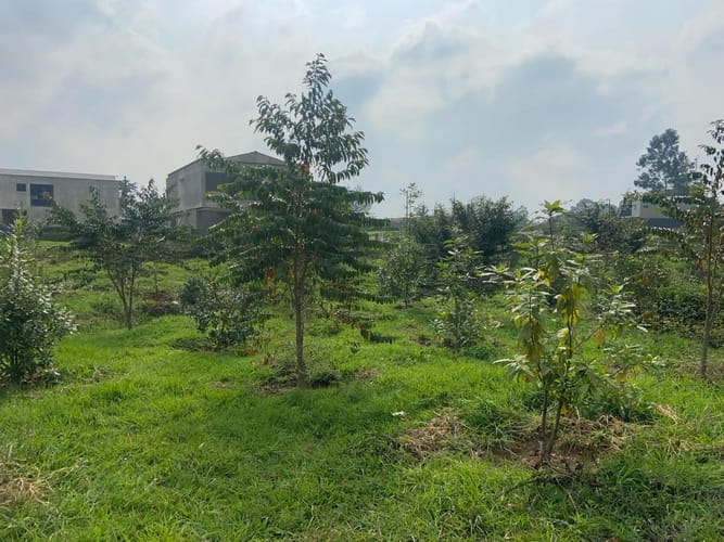 Lote en venta en Llano Grande, Rionegro, 275 m² · foto 14 de 16