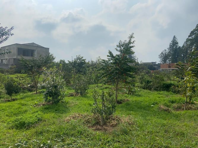 Lote en venta en Llano Grande, Rionegro, 275 m² · foto 15 de 16