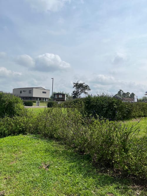 Lote en venta en Llano Grande, Rionegro, 255 m² · foto 6 de 20
