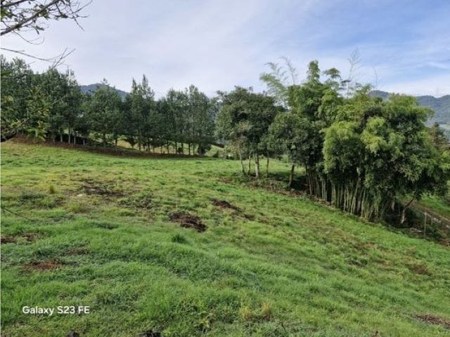 Lote en venta en La Milagrosa, El Carmen de Viboral, 7000 m² · foto 2 de 13