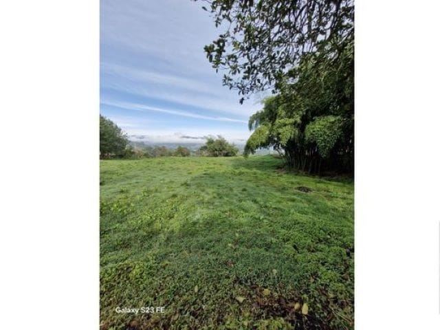 Lote en venta en La Milagrosa, El Carmen de Viboral, 7000 m² · foto 3 de 13