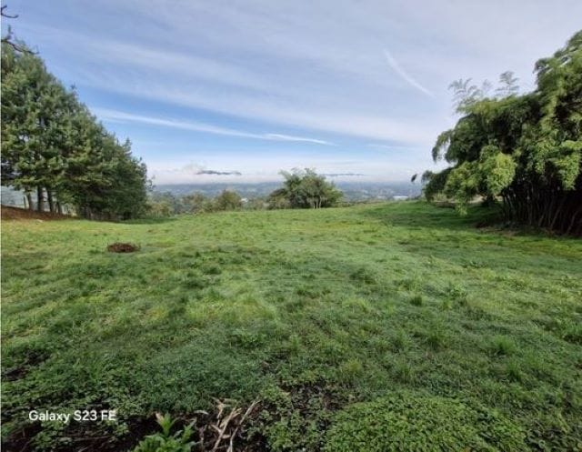 Lote en venta en La Milagrosa, El Carmen de Viboral, 7000 m² · foto 4 de 13