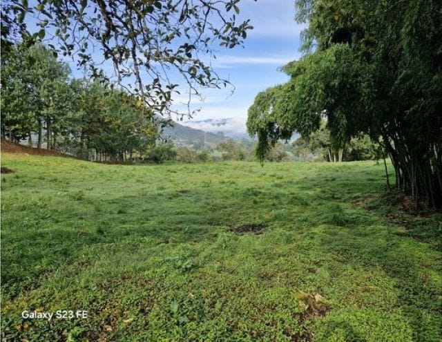 Lote en venta en La Milagrosa, El Carmen de Viboral, 7000 m² · foto 5 de 13