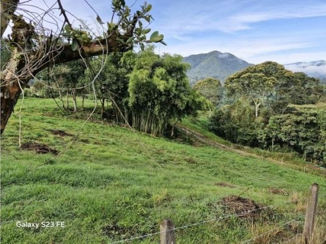 Lote en venta en La Milagrosa, El Carmen de Viboral, 7000 m² · foto 6 de 13
