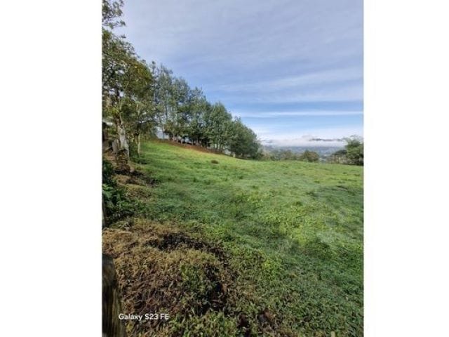 Lote en venta en La Milagrosa, El Carmen de Viboral, 7000 m² · foto 7 de 13