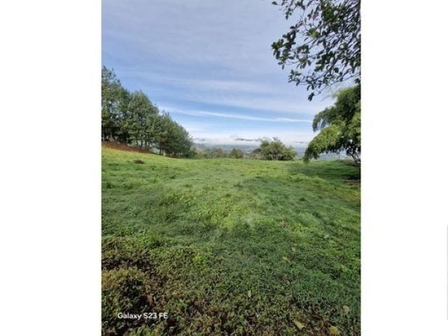Lote en venta en La Milagrosa, El Carmen de Viboral, 7000 m² · foto 8 de 13