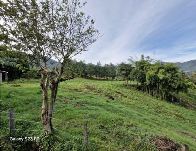 Lote en venta en La Milagrosa, El Carmen de Viboral, 7000 m² · foto 10 de 13