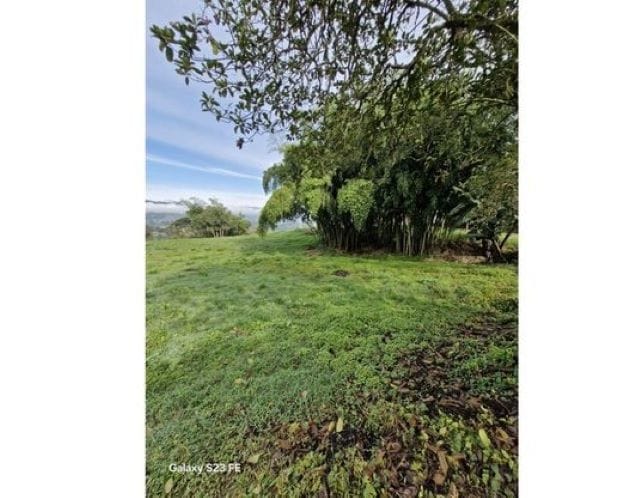 Lote en venta en La Milagrosa, El Carmen de Viboral, 7000 m² · foto 11 de 13