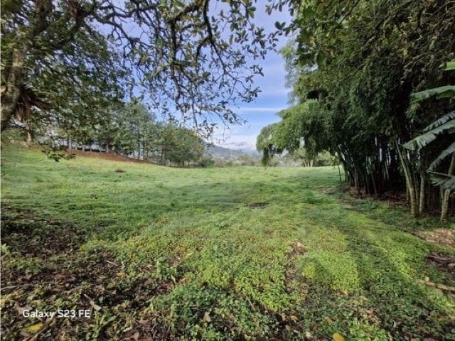 Lote en venta en La Milagrosa, El Carmen de Viboral, 7000 m² · foto 12 de 13