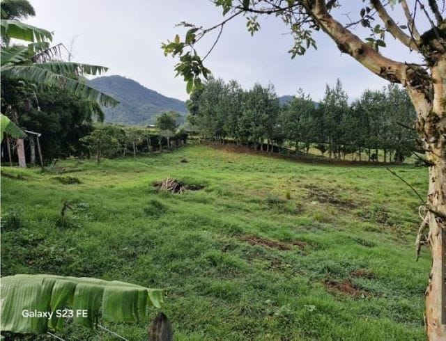Lote en venta en La Milagrosa, El Carmen de Viboral, 7000 m² · foto 13 de 13