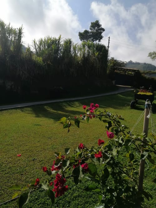 Finca en venta en Guarino, El Carmen de Viboral, 520 m² · foto 4 de 24