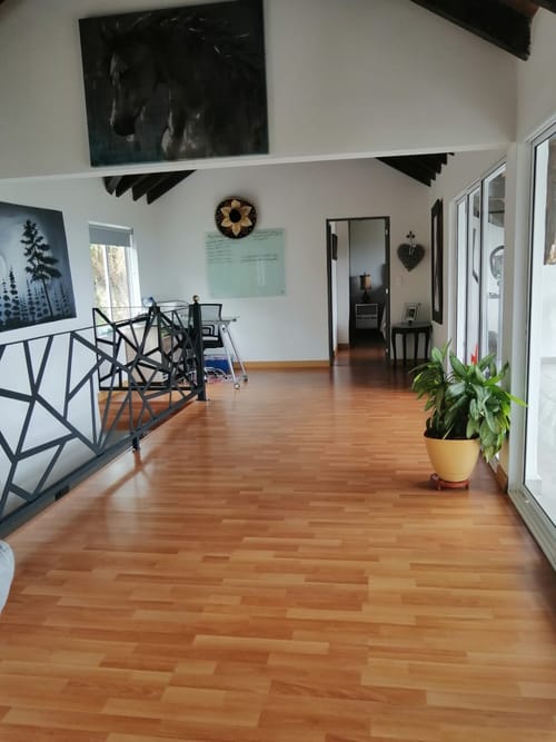 Finca en venta en Guarino, El Carmen de Viboral, 520 m² · foto 13 de 24