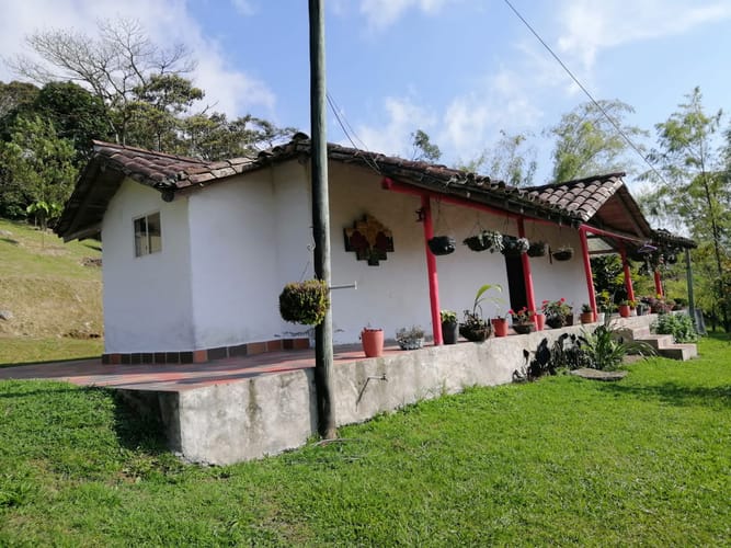 Finca en venta en Guarino, El Carmen de Viboral, 520 m² · foto 22 de 24