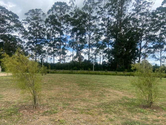 Lote en venta en Pantanillo, El Retiro, 9716 m² · foto 2 de 15