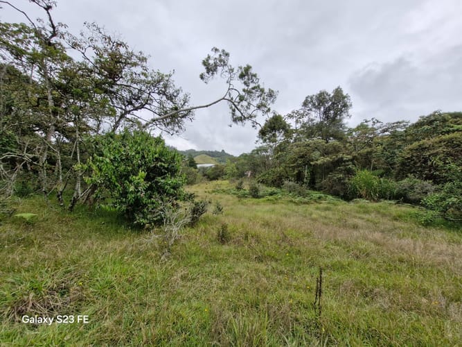 Lote en venta en Pantanillo, El Retiro, 9716 m² · foto 4 de 15