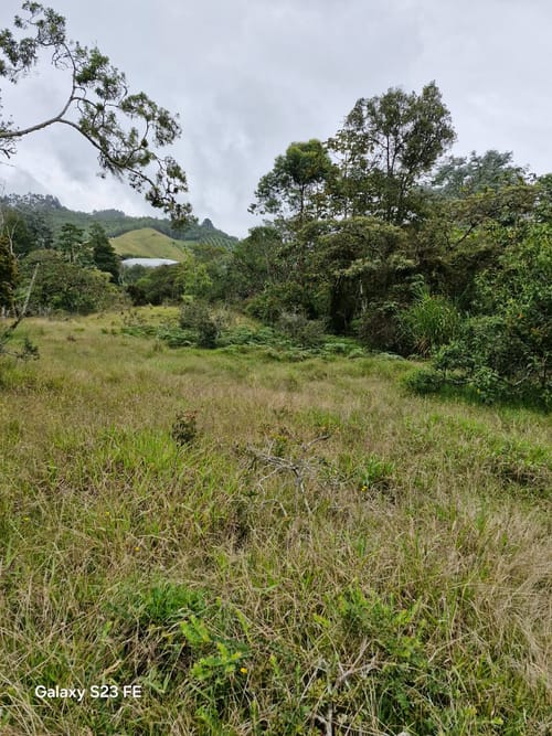 Lote en venta en Pantanillo, El Retiro, 9716 m² · foto 8 de 15