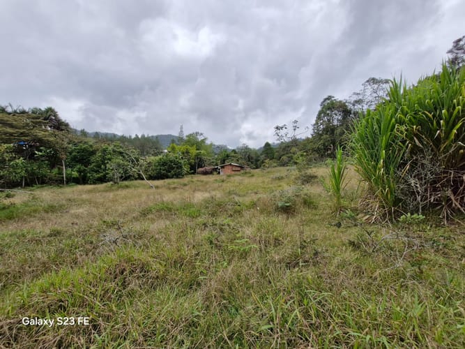 Lote en venta en Pantanillo, El Retiro, 9716 m² · foto 9 de 15