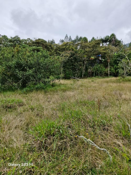 Lote en venta en Pantanillo, El Retiro, 9716 m² · foto 12 de 15