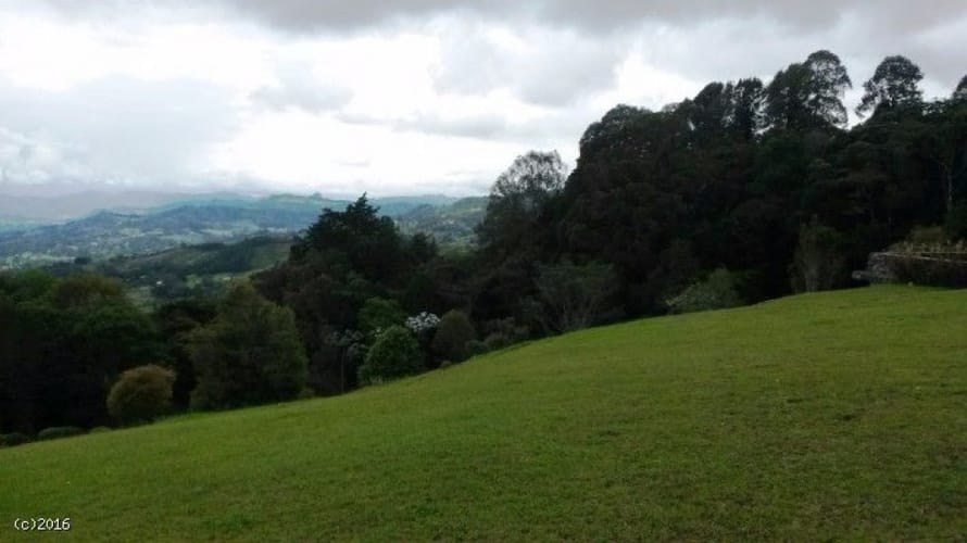 Finca en venta en El Porvenir, Rionegro, 30000 m² · foto 8 de 20