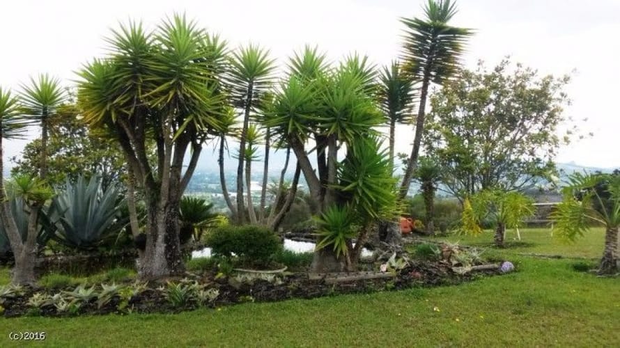 Finca en venta en El Porvenir, Rionegro, 30000 m² · foto 11 de 20