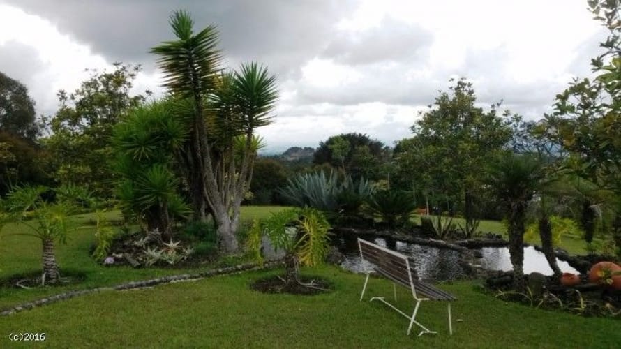Finca en venta en El Porvenir, Rionegro, 30000 m² · foto 12 de 20