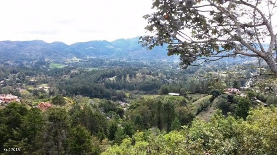Finca en venta en Santa Elena, El Retiro, 38400 m² · foto 14 de 19