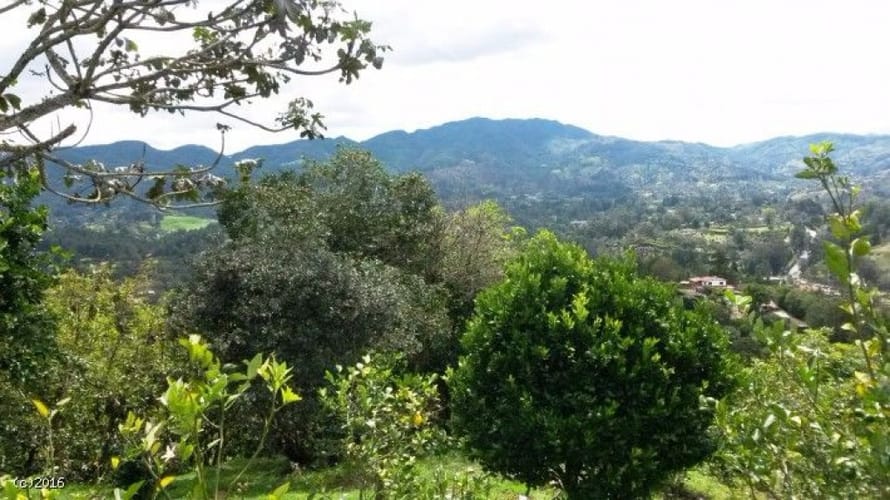 Finca en venta en Santa Elena, El Retiro, 38400 m² · foto 15 de 19