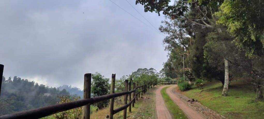 Finca en venta en Santa Elena, El Retiro, 38400 m² · foto 16 de 19