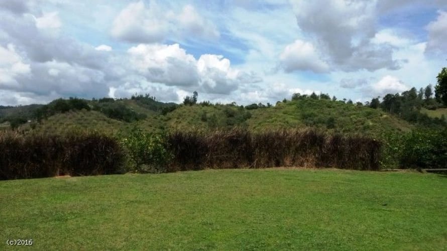 Finca en venta en Santa Elena, El Retiro, 38400 m² · foto 17 de 19