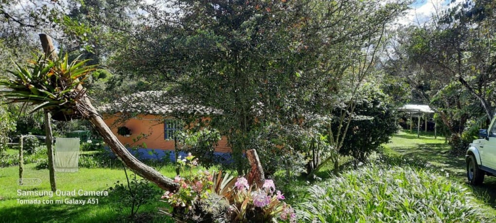 Finca en venta en Yarumal, Rionegro, 30000 m² · foto 2 de 20