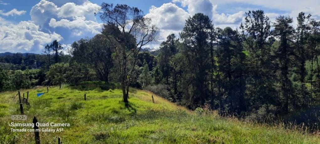 Finca en venta en Yarumal, Rionegro, 30000 m² · foto 3 de 20