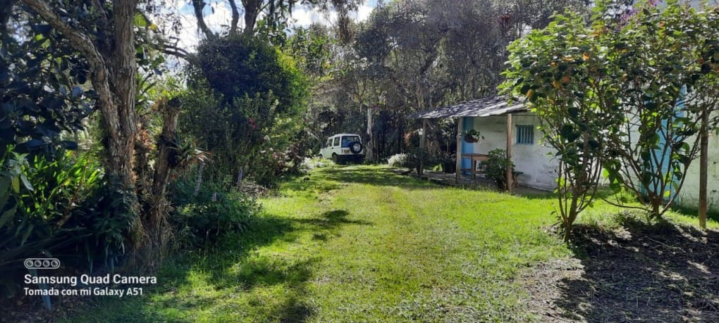 Finca en venta en Yarumal, Rionegro, 30000 m² · foto 4 de 20