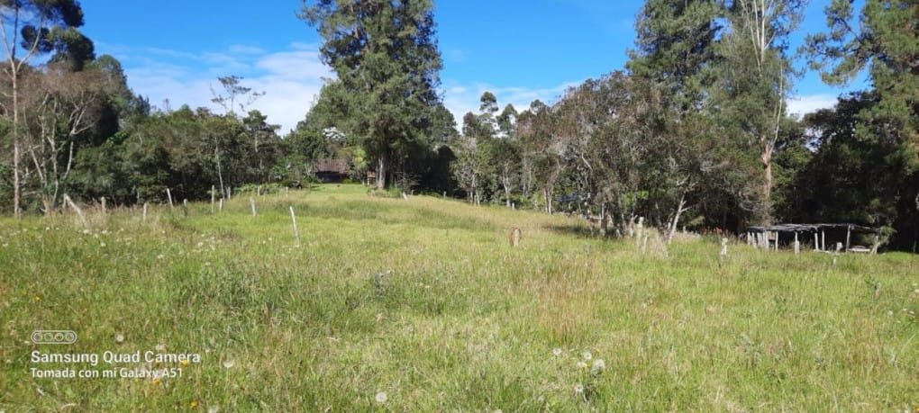 Finca en venta en Yarumal, Rionegro, 30000 m² · foto 5 de 20
