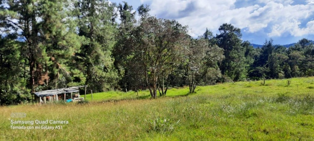 Finca en venta en Yarumal, Rionegro, 30000 m² · foto 6 de 20
