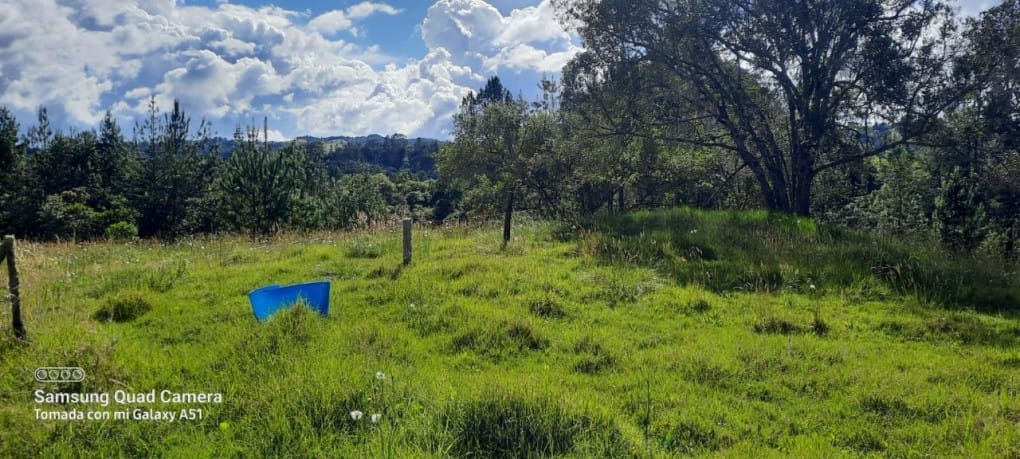 Finca en venta en Yarumal, Rionegro, 30000 m² · foto 7 de 20