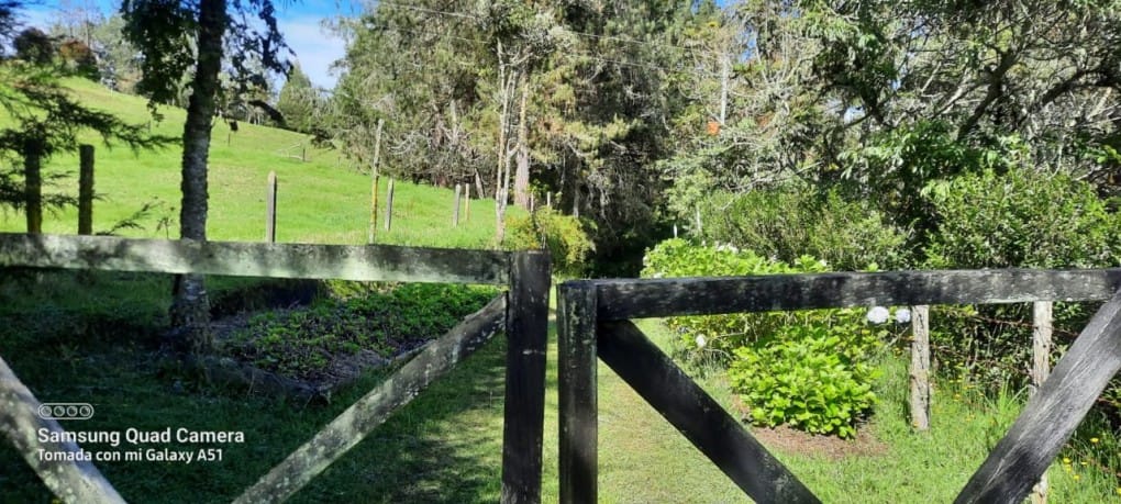 Finca en venta en Yarumal, Rionegro, 30000 m² · foto 8 de 20