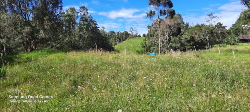 Finca en venta en Yarumal, Rionegro, 30000 m² · foto 9 de 20