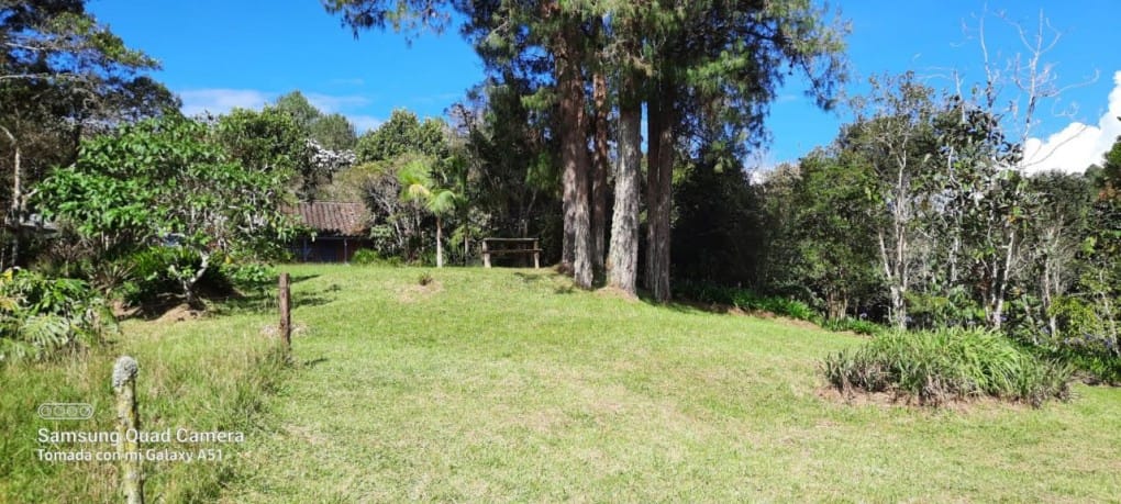 Finca en venta en Yarumal, Rionegro, 30000 m² · foto 10 de 20