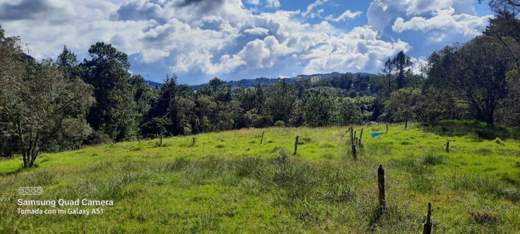 Finca en venta en Yarumal, Rionegro, 30000 m² · foto 11 de 20