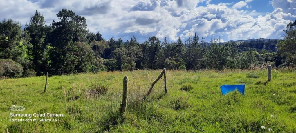 Finca en venta en Yarumal, Rionegro, 30000 m² · foto 12 de 20
