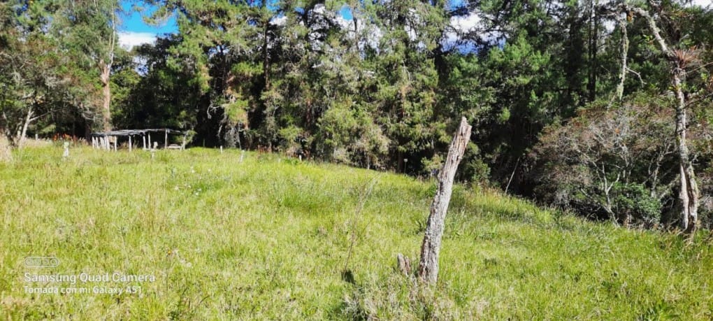 Finca en venta en Yarumal, Rionegro, 30000 m² · foto 13 de 20