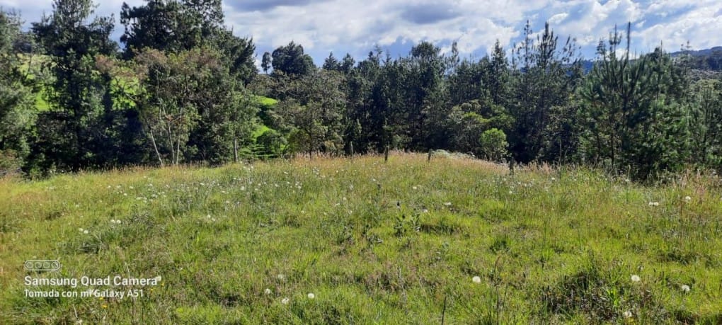 Finca en venta en Yarumal, Rionegro, 30000 m² · foto 14 de 20