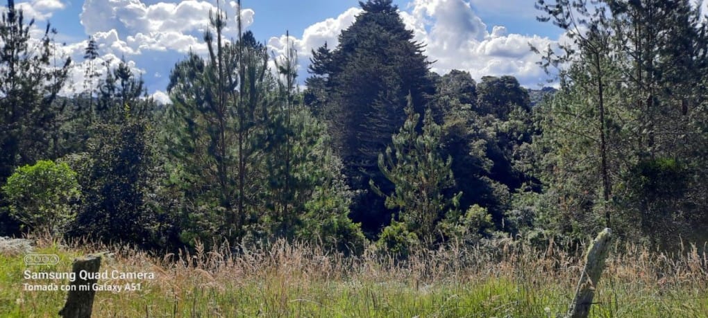 Finca en venta en Yarumal, Rionegro, 30000 m² · foto 15 de 20