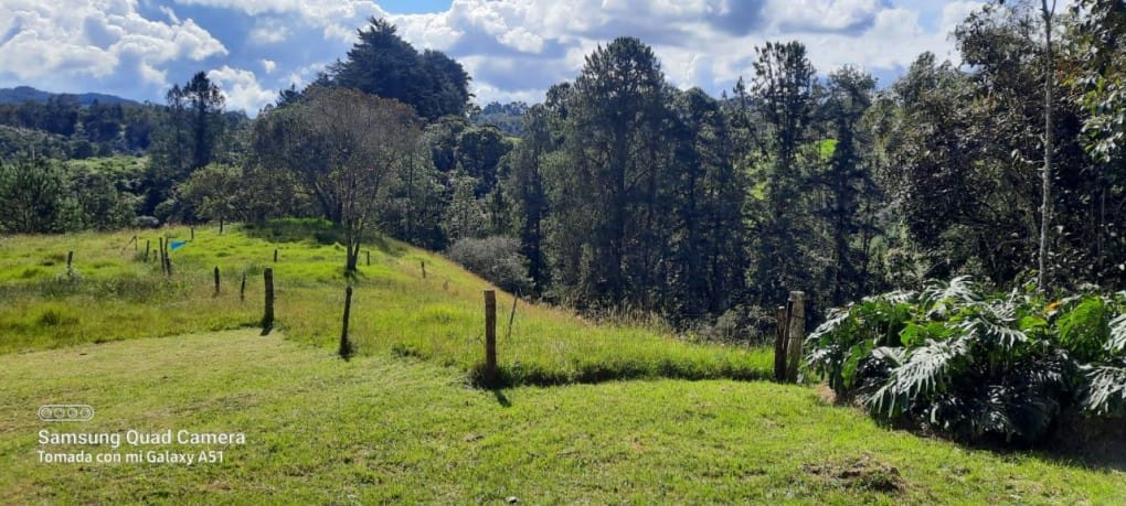 Finca en venta en Yarumal, Rionegro, 30000 m² · foto 16 de 20