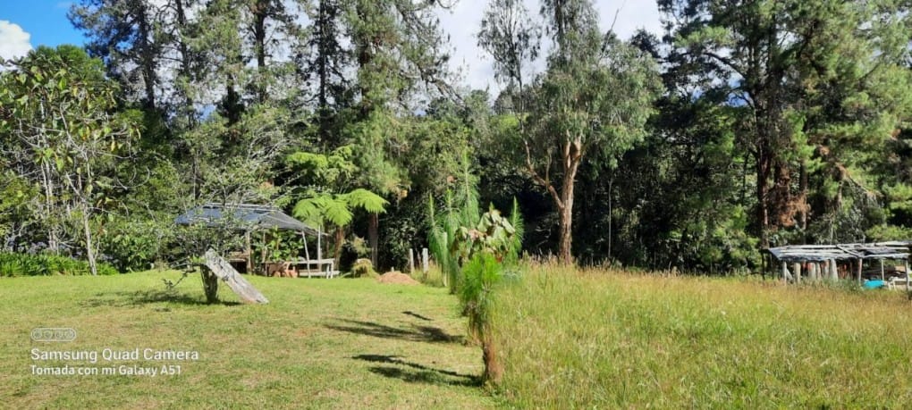 Finca en venta en Yarumal, Rionegro, 30000 m² · foto 17 de 20