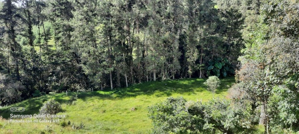Finca en venta en Yarumal, Rionegro, 30000 m² · foto 18 de 20