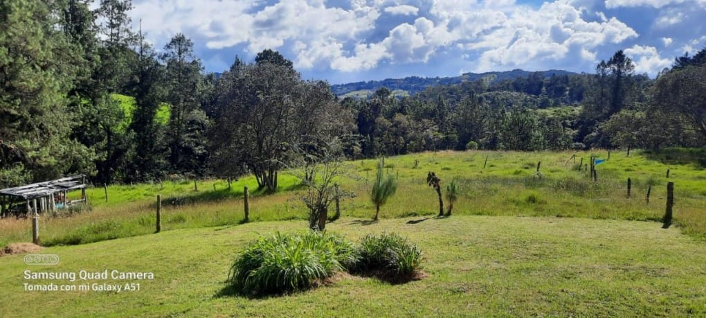 Finca en venta en Yarumal, Rionegro, 30000 m² · foto 19 de 20