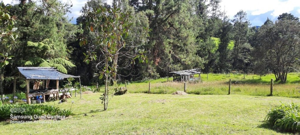 Finca en venta en Yarumal, Rionegro, 30000 m² · foto 20 de 20