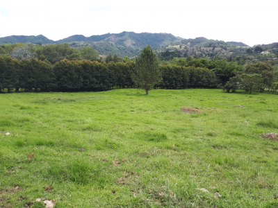 Lote en venta en Los Salados, El Retiro, 11359 m² · foto 2 de 15