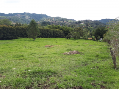 Lote en venta en Los Salados, El Retiro, 11359 m² · foto 4 de 15